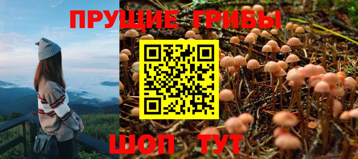 АМФ кристаллы  МЕФ кристаллы  Cocaine  Большой Камень  МДМА  Каннабис  Гашиш 