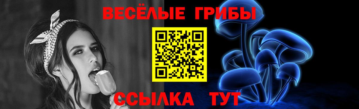 Галлюциногенные грибы ЛСД Большой Камень